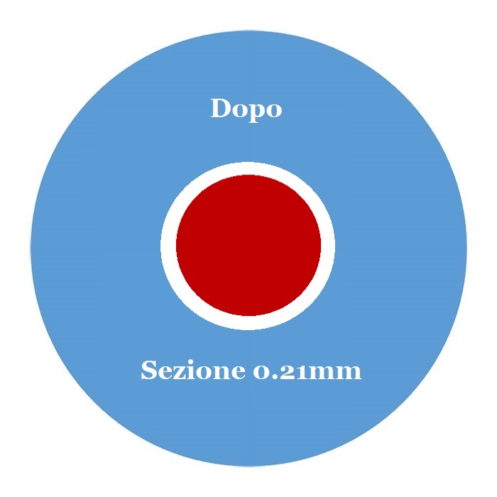 nuova-sezione-reofori-01